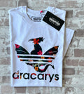 Tshirt Grafitee DRACARYS humour Game of thrones detourné à plat plié