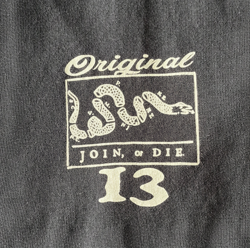 T-Shirt Gildan | Moreschi Illustration | Pirate Skull Flag | Heavy Cotton / imprimé manche gros plan