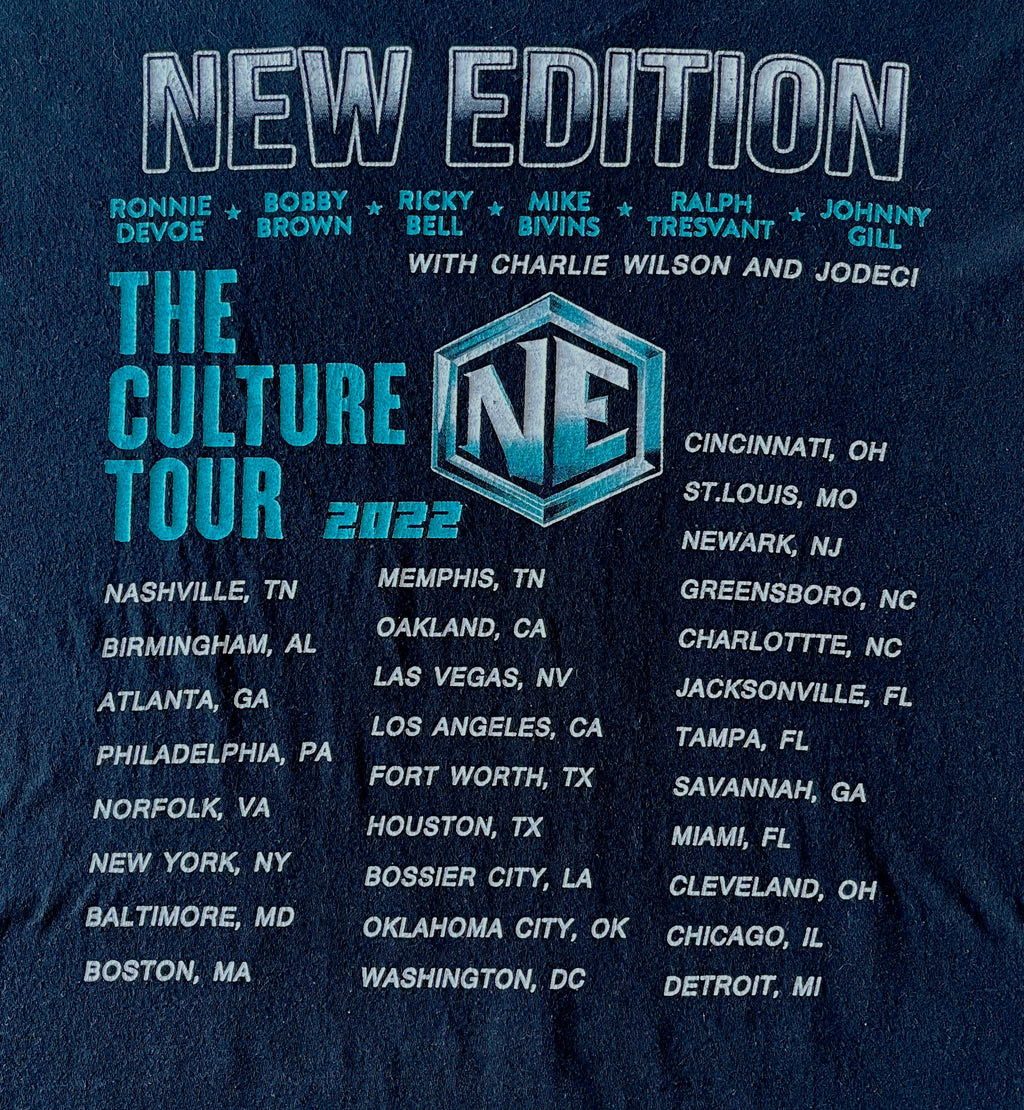 T-Shirt Fruit of The Loom | New Edition - The Culture Tour 2022 & Special Guests | USA / dos